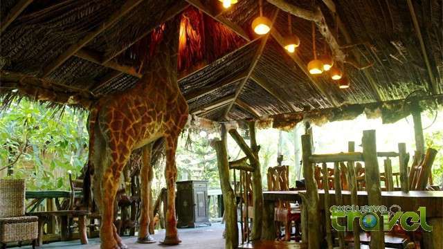 great huts giraffe bar