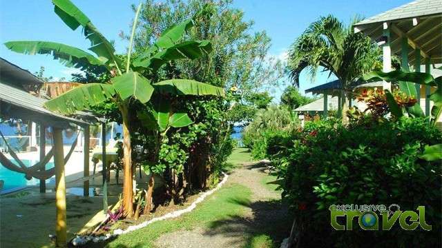 jamaican colours hotel garden